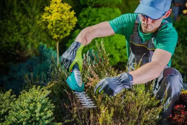 landscaping services Williamsdale
